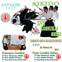 Anverso folleto 2014 - XVII Koshukai Shiki Vigo 